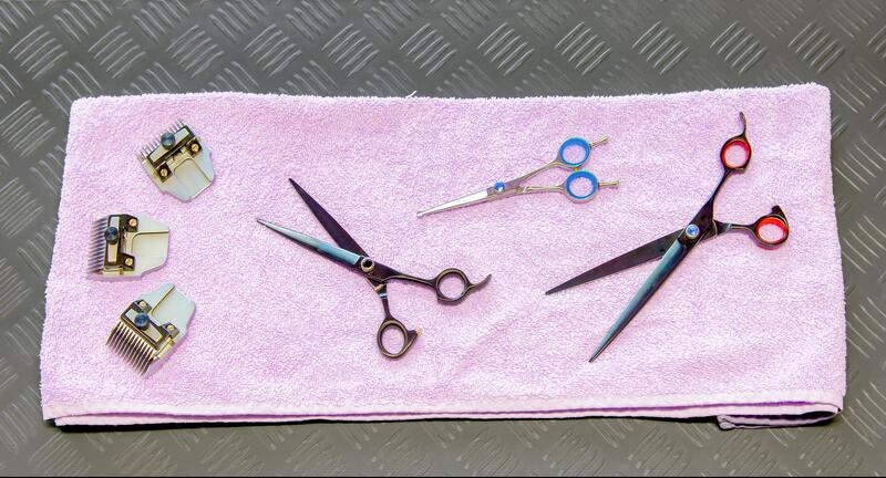Tools of the trade. various sizes of special grooming scissors and clippers.